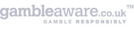 Gamble Aware Icon